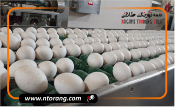 درخواست قیمت جدید تخم مرغ از دولت